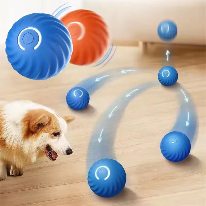 Cat And Dog Toy