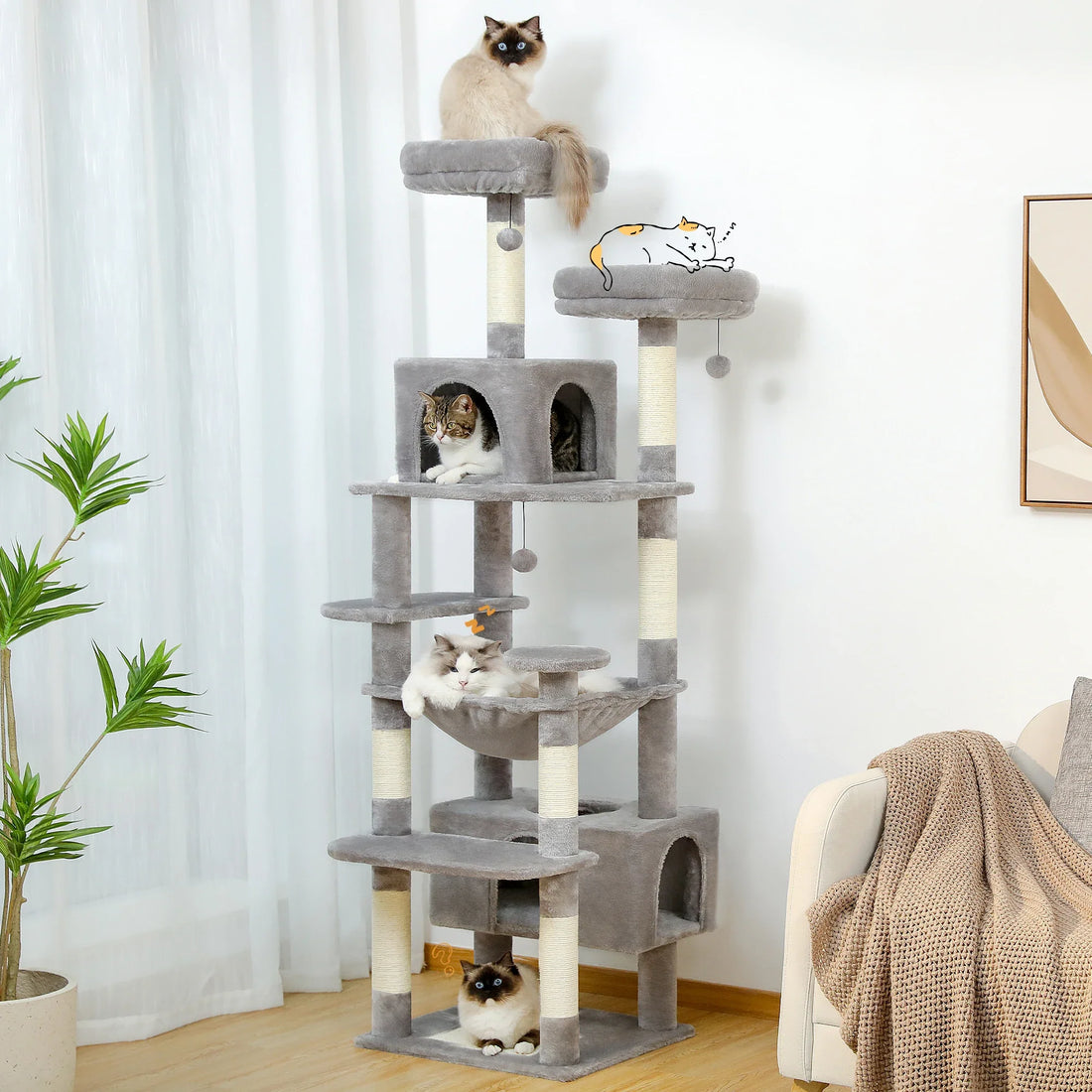 CAT PRODUCTS