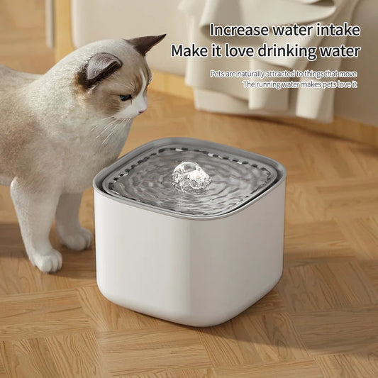 Large Capacity Drinker USB Electric  Cats Water Dispenser