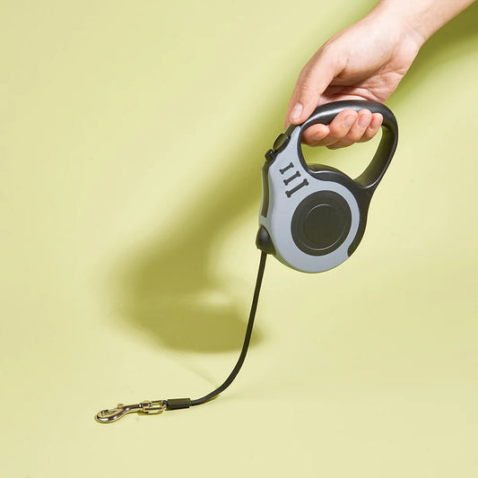 3m And 5m Dog Leash for Small Dogs