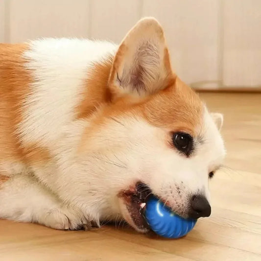 USB Smart Bouncing Dog Toy Ball – Automatic & Interactive