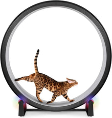 One Fast Cat Exercise Wheel