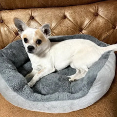 Ultra Soft Dog & Cat Bed – Warm Pet Sofa Cushion