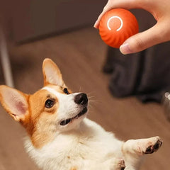 USB Smart Bouncing Dog Toy Ball – Automatic & Interactive